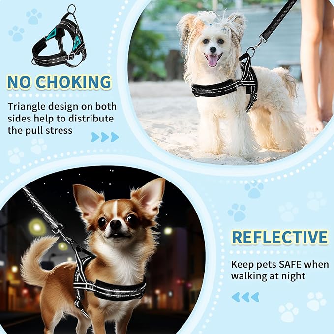 SlowTon No Pull Small Dog Harness and Leash Set, Puppy Soft Vest Harness Neck & Chest Adjustable, Reflective Lightweight Harness & Anti-Twist Pet Lead Combo for Small Medium Dogs(B,L)