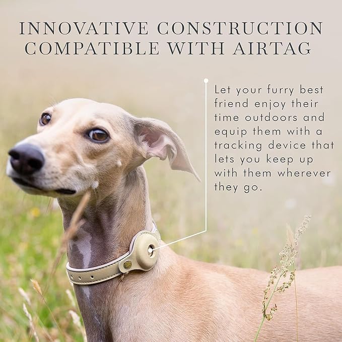 NINA WOOF Cupertino Dog Collars, Harnesses & Leashes Made from Vegan Leather with Dog Tracker Device Holder Adjustable Dog Collar - Color Beige, Large