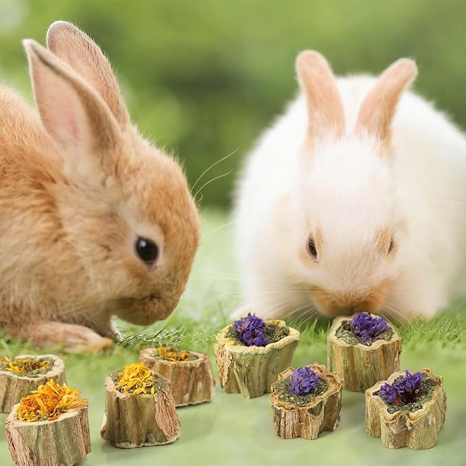 Abizoo Rabbits Chew Toys Organic Papaya Wood for Guinea Pigs Chinchillas Hamsters Small Animals Treats with Calendula Forget Me Nots and Alfalfa Hay Dental & Digestive Support No Additives 4.23oz/120g