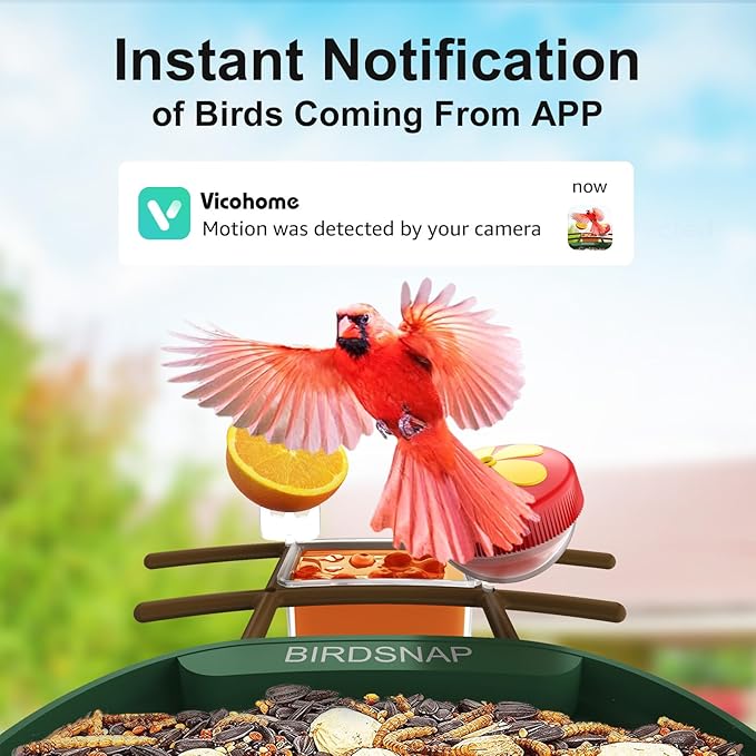 birdsnap® PAV- Smart Bird Feeder with Camera Solar Powered, 64GB Card & 2K HD Record Video Bird Camera Live with 5 DIY Add-ons, AI Identify Auto Capture, Ideal Gift for Birds Lover