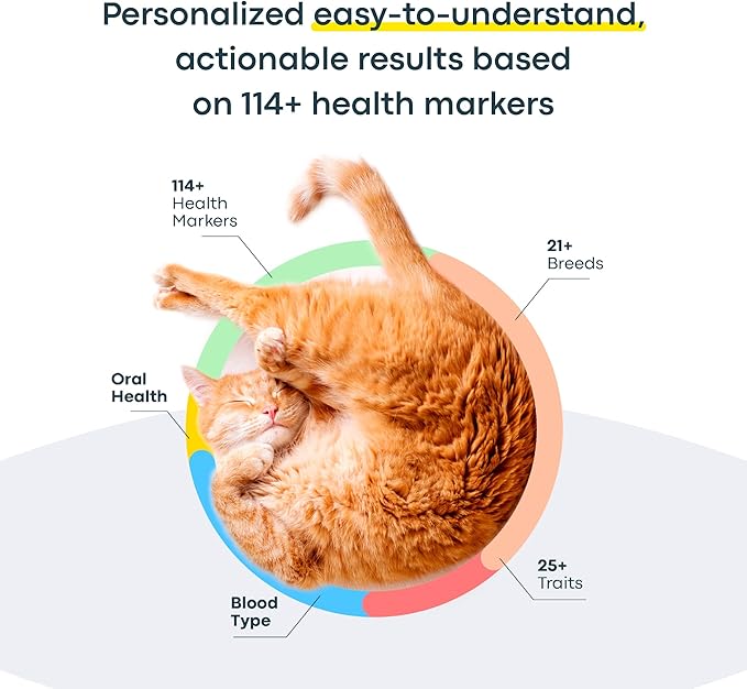 Basepaws Cat DNA Test Kit 2 Pack - 21+ Breeds, 114+ Health and Dental Traits for Comprehensive Accurate and Easy-to-Use Genetic Insights