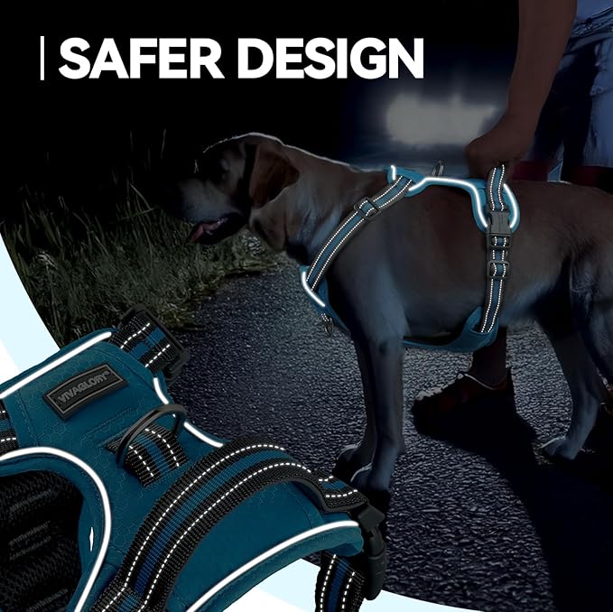 VIVAGLORY Dog Harness Easewalk No Pull Dog Harness with Handle & Front Back Clip for Training Lifting, Easy On Adjustable Padded No Pull for Pet & Puppy, S, Blue