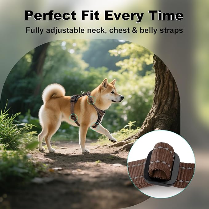 Plutus Pet Adjustable No Pull Dog Harness with Leather Accents, Heavy Duty Reflective Nylon Vest for Training, Hiking, Easy Walk Harness for Small, Medium, Large Dogs (Chocolate, M)