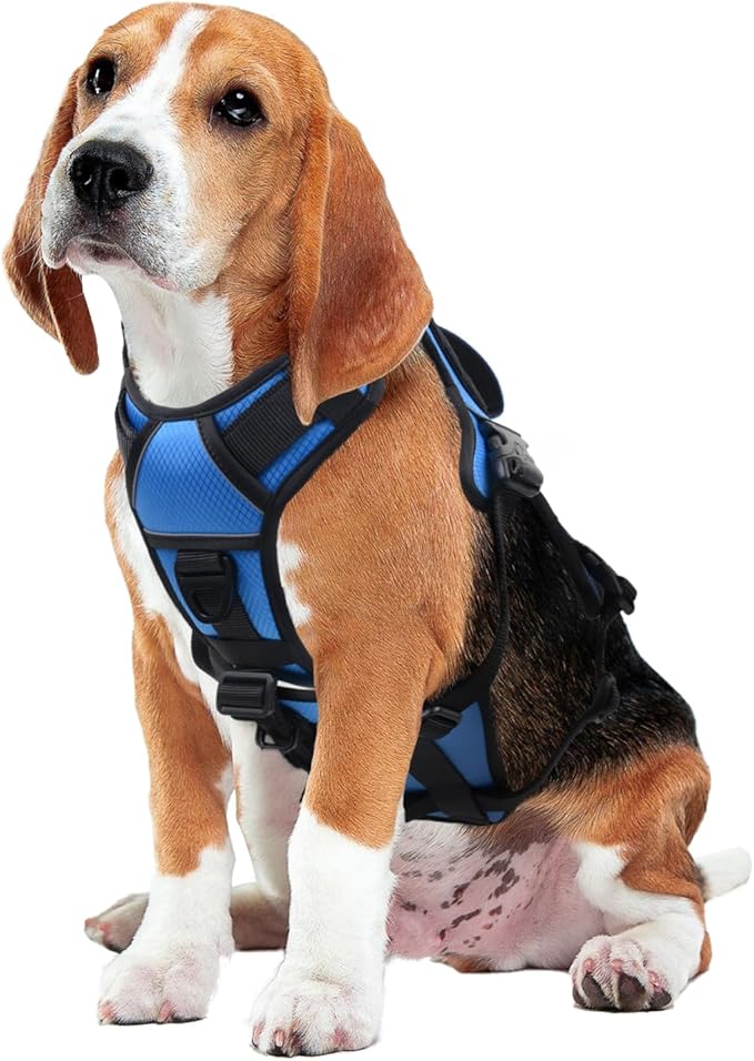 AUROTH Escape Proof Dog Harness - No Pull with Lift Handle, Soft Padded Reflective Adjustable Vest, Large for Walking, Hiking, Training