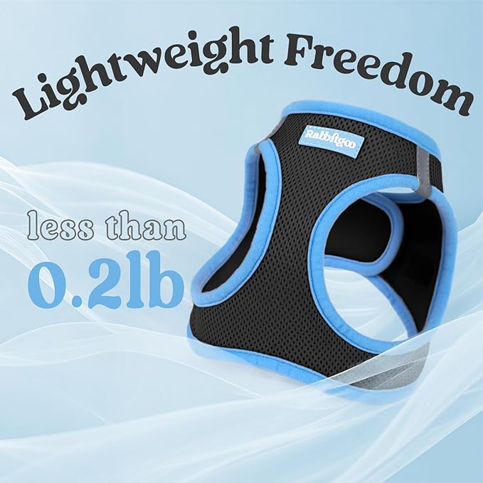 rabbitgoo Dog Harness Small Sized and Leash Set, Step-in Breathable Pet Harness, Soft Walking Reflective Puppy Vest for Small Dogs, Black & Light Blue, L