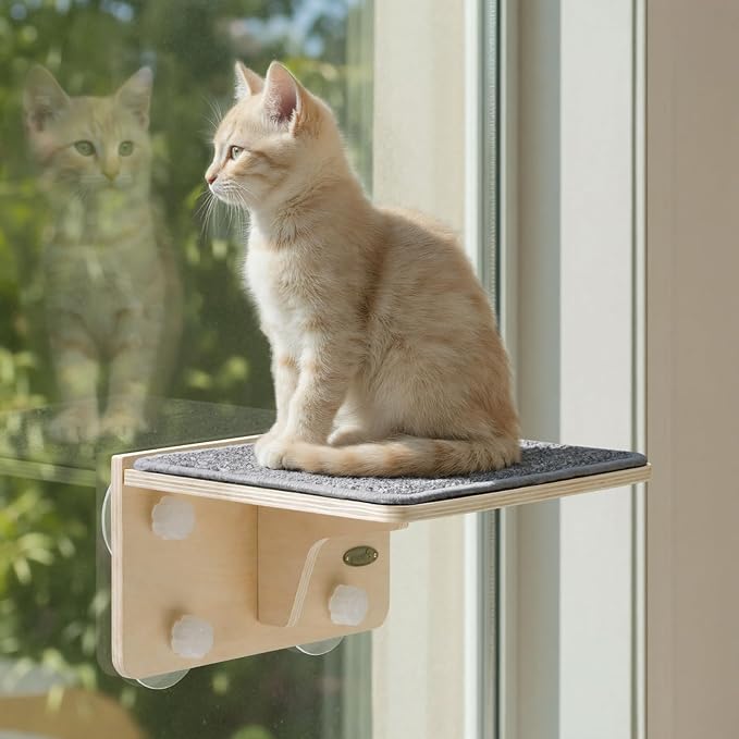 Pecute 2-in-1 Cat Window Perch & Wall Shelves - Sturdy Solid Wood Frame, 4 Large Rotating Suction Cups, Washable Carpet Cloth Cover, Space-Saving Indoor Cat Hammock Bed for Kittens Inside, 12"x10"
