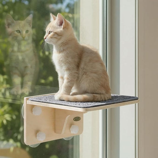 Pecute 2-in-1 Cat Window Perch & Wall Shelves - Sturdy Solid Wood Frame, 4 Large Rotating Suction Cups, Washable Carpet Cloth Cover, Space-Saving Indoor Cat Hammock Bed for Kittens Inside, 12"x10"