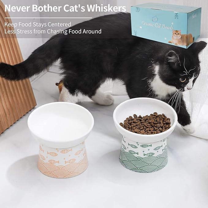OMAYKEY Ceramic Raised Cat Bowls, Elevated Tilted Cat Food and Water Bowl Set, Porcelain Stress Free Pet Feeder Dish for Cats and Small Dogs, Dishwasher and Microwave Safe, Set of 2