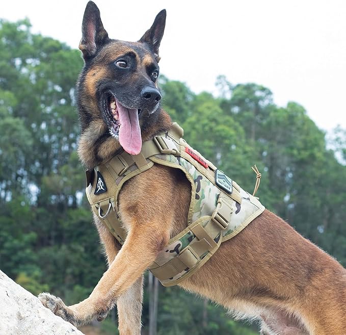 Tactical Dog Harness Vest with Handle, Military Dog Harness for Large Medium Dogs,No-Pull Service Dog Vest with Hook & Loop Panels,Adjustable Dog Vest Harness for Walking Hiking Training（Camo,M）