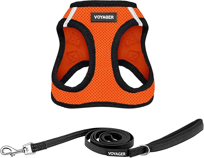 Voyager Step-in Air All Weather Mesh Harness and Reflective Dog 5 ft Leash Combo with Neoprene Handle, for Small, Medium and Large Breed Puppies by Best Pet Supplies - Orange/Black Trim, Large