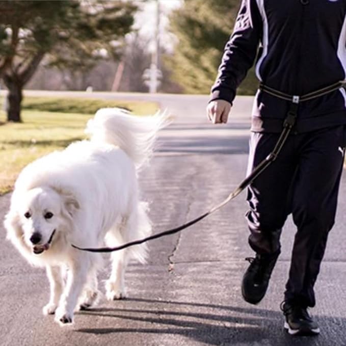 Caldwell's Pet Supply Co. Hands-Free Dog Leash, Adjustable Waist Leash for Dog Walking, Non-Bungee, Hands Free Harness, Durable and Versatile Waist Belt Leashes, Cross Body for Dogs (26" - 47")