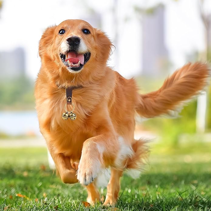 Loud Dog Collar Bells, Durable Pet Bells Tracker for Large Dogs, 4 Copper ells and 2 Leather Button Strap for Outdoor Safety, Pet Tracking, Hiking, Walking