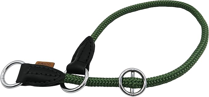 Braided Round Martingale Dog Collar, Training Collar with Slidable Stop Ring - Ideal for Small Medium Dogs (M- (1/3") - 18" Long, Dark Green)