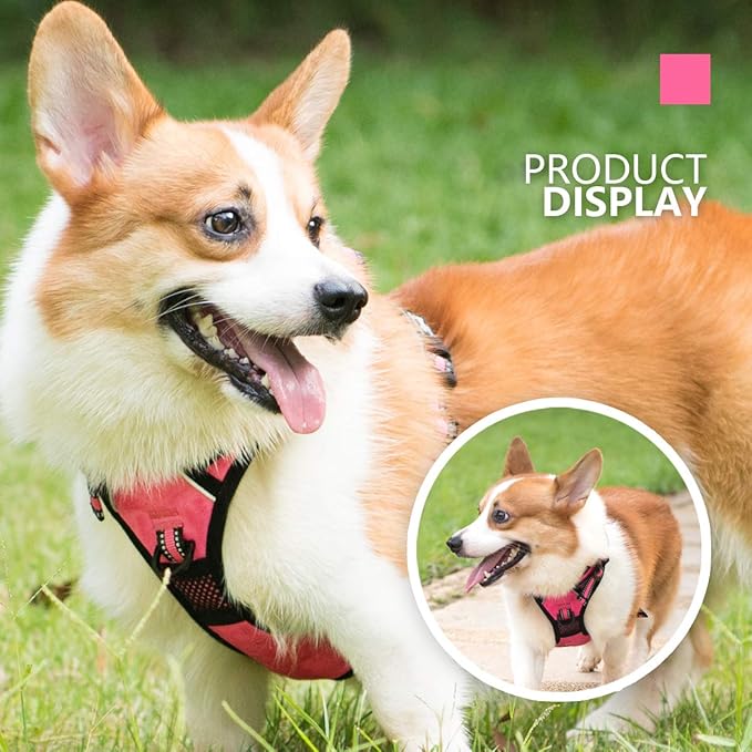 PoyPet No Pull Dog Harness, [Release on Neck] Reflective Adjustable No Choke Pet Vest with Front & Back 2 Leash Attachments, Soft Control Training Handle for Small Medium Large Dogs(Pink,M)