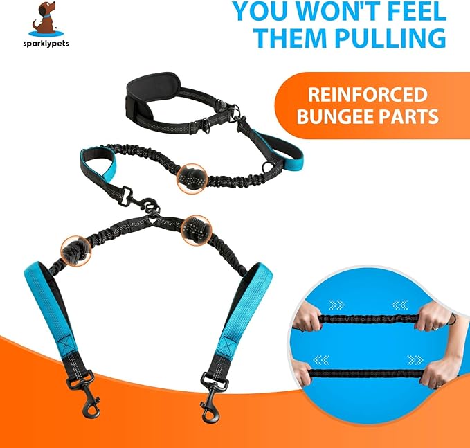 SparklyPets Hands Free Double Dog Leash – Dual Leash for Medium and Large Breeds – Lead for 2 Dogs with Padded Handles, Reflective Stitches, No Pull, Tangle Free