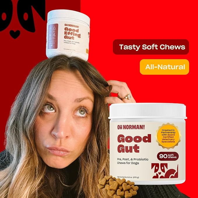 Oh Norman! Probiotic Chews for Dogs, Probiotics for Dogs Digestive Health with Enzymes, Allergy Relief for Seniors, Probiotics for Dog Wellness and Comfort
