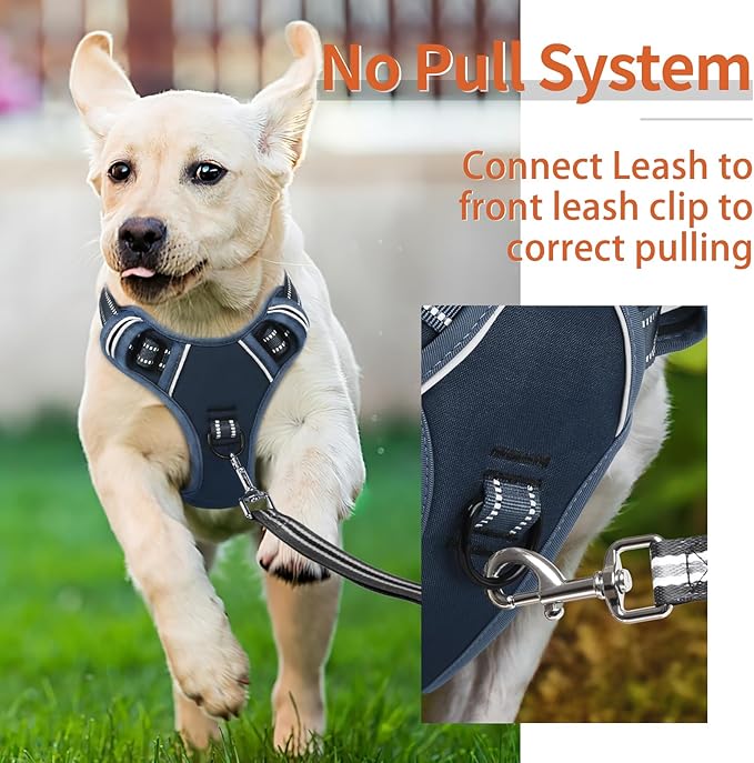 HEELE Dog Harness for Large Dogs No Pull Dog Vest Harness for Large Dog with Soft Padded Handle Reflective for Outdoor Training, Royal Blue, XL