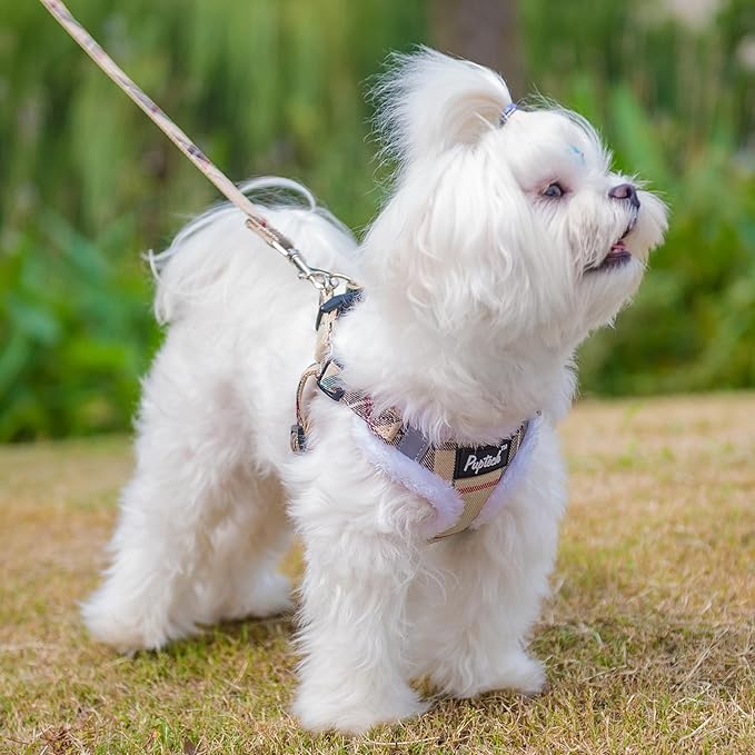 PUPTECK Dog Harness and Leash Set Small Sized, Step in No Pull Adjustable Puppy Cat Harness Reflective Pet Vest