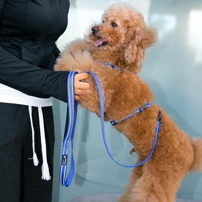 EXCELLENT ELITE SPANKER No Pull Dog Harness Reflective Nylon Vest L-Shaped Adjustable Easy Pet Harness for Small Medium Large Breeds Dogs Walking Training Black Red(Red-M)