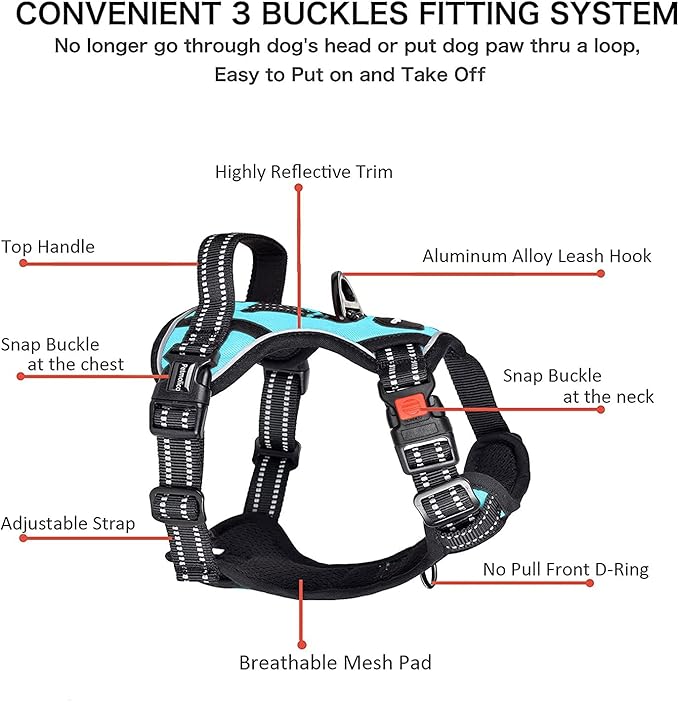 Petmolico No Pull Dog Harness Set with Leash Attachment Easy Control Handle Reflective Harness Vest Small Breed, Puppy Vest and Leash Set with Poop Bag Holder, Medium - Turquoise
