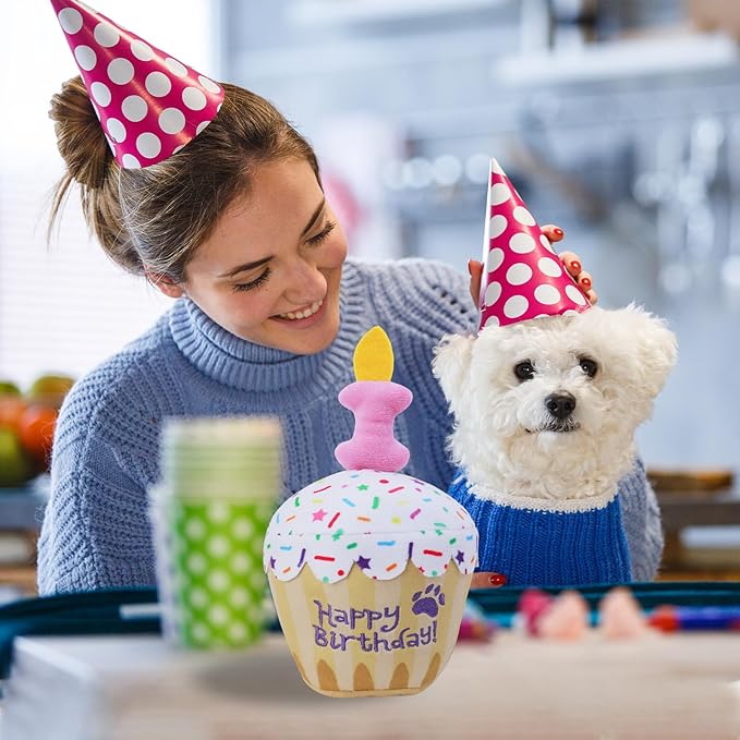 Dog Birthday Toy, Birthday Cake Plush Squeak Dog Toys for Puppy Gifts, Unique Bone Candle Design, Dogs Party Decor