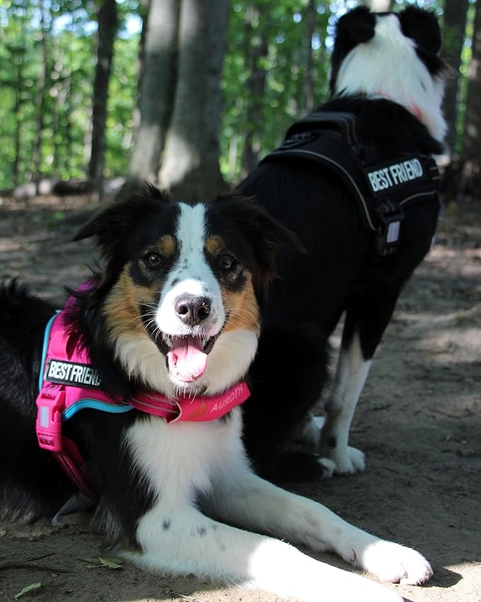 AUROTH Dog Harness and Leash Set, Soft Padded Service Dog Vest with 5.25FT Dog Leash, No Choke, Easy On Pet Vest, Adjustable Reflective No Pull Pet Vest Medium Sized Dog, Easy Walking and Training