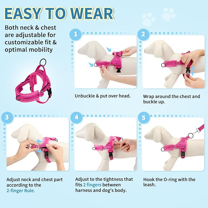SlowTon No Pull Small Dog Harness and Leash Set, Puppy Soft Vest Harness Neck & Chest Adjustable, Reflective Lightweight Harness & Anti-Twist Pet Lead Combo for Small Medium Dogs (Fuchsia, XXS)