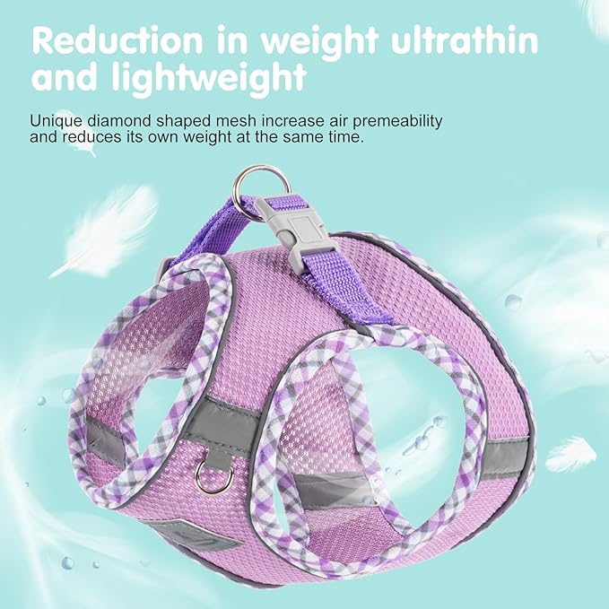 Dog Harness and Leash Set - No Pull Soft Breathable Small Dog Harness, Adjustable Reflective Step in Vest for Puppy, Kitten, Cats