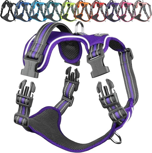 VIVAGLORY Dog Harness Easewalk No Pull Dog Harness with Handle & Front Back Clip for Training Lifting, Easy On Adjustable Padded No Pull for Pet & Puppy, S, Purple