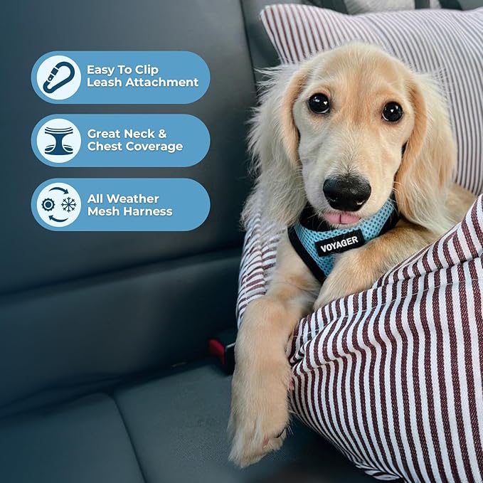 Voyager Step-in Air All Weather Mesh Harness and Reflective Dog 5 ft Leash Combo with Neoprene Handle, for Small, Medium and Large Breed Puppies by Best Pet Supplies - Baby Blue/Black Trim, X-Large