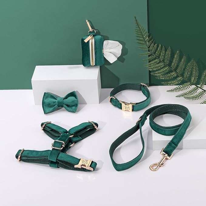 Velvet Harness Set, Gift for Pet Owners, Custom Dog Collar Personalized with Name and Phone Number, Custom Collar and Leash for Dogs, Engraved Metal Buckle Collar (X-Small)