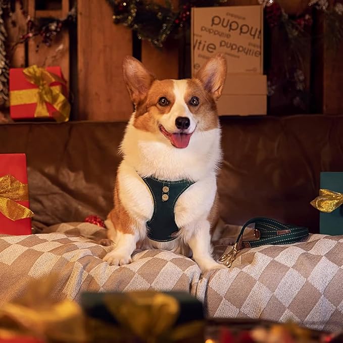 Dog Harness, No Pull Dogs Harness and Multi-Function Leash Set for Medium Dogs Easy Walk Everyday Adjustable Soft Dog Vest Harness Fashionable Dog Accessories Denim Vintage Green-Button-M(16lb-35lb)