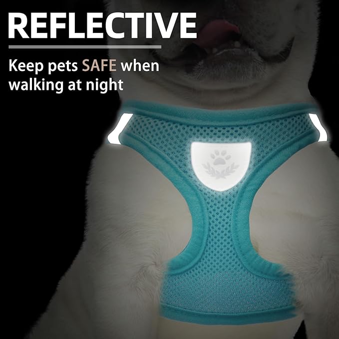 PUPTECK Adjustable Dog Harness Collar and Leash Set Step in No Pull Pet Harness for Small Medium Dogs Puppy and Cats Outdoor Walking Running, Soft Mesh Padded Reflective Vest Harnesses, Turquoise XS