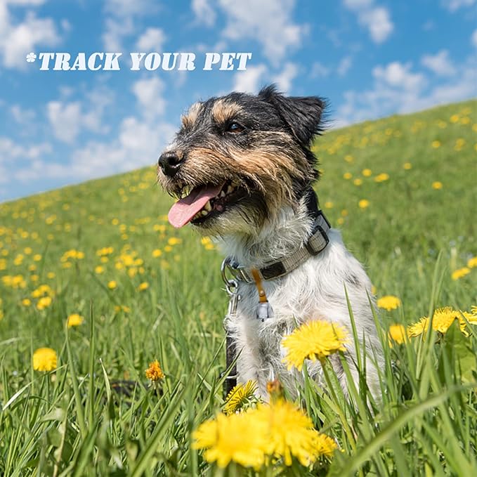 Dog Collar Copper Bell Pet Tracker Noise Maker/Leather Crafters Country Grazing Cow Bell for Pet Anti-Lost Pendant ID Tags for Pet Training Tracker Christmas New Year’s Eve(M)(Silver)