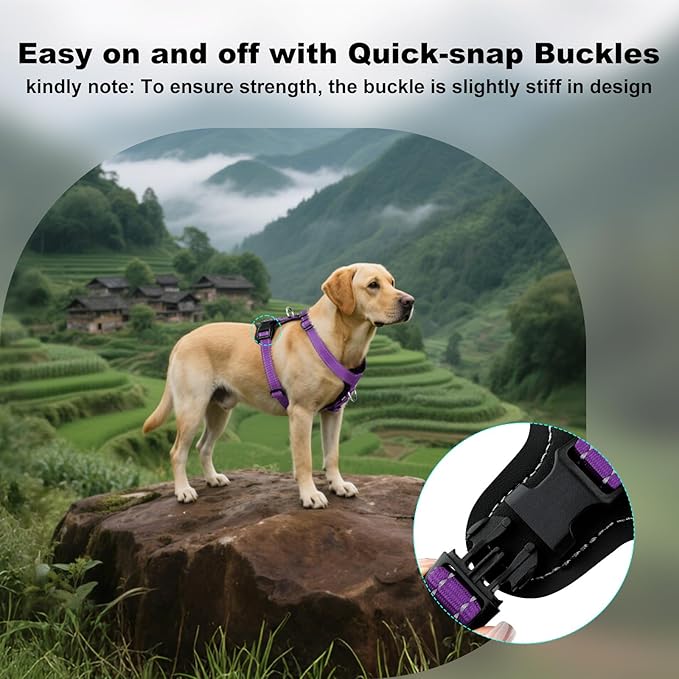 Plutus Pet Adjustable No Pull Dog Harness with Leather Accents, Heavy Duty Reflective Nylon Vest for Training, Hiking, Easy Walk Harness for Small, Medium, Large Dogs (Purple, L)