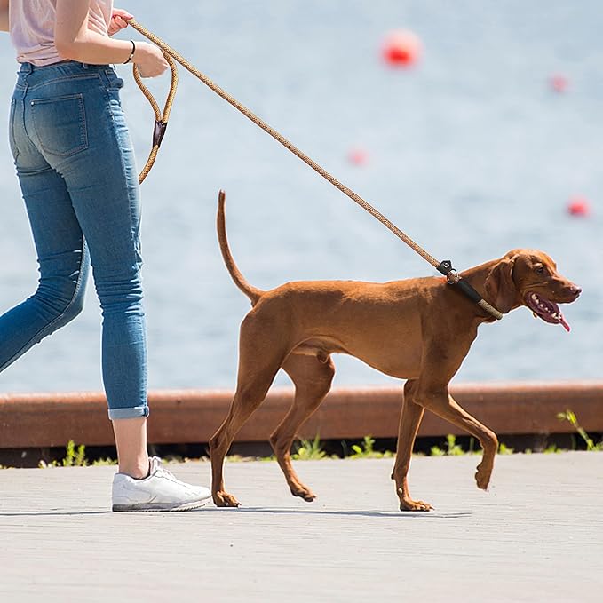 TwoEar Dog Slip Rope Leash - 6FT Heavy Duty Training Leash with Reflective Threads for Small to Large Dogs (Slim 3/8''x6ft, Orange)