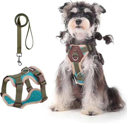 Small Dog Harness and Leash Set, Breathable Mesh Puppy Harness, Adjustable Dog Harness for Small Medium Large Dogs, No-Pull Pet Harness for Daily Walking (Lakeblue, X-Large)