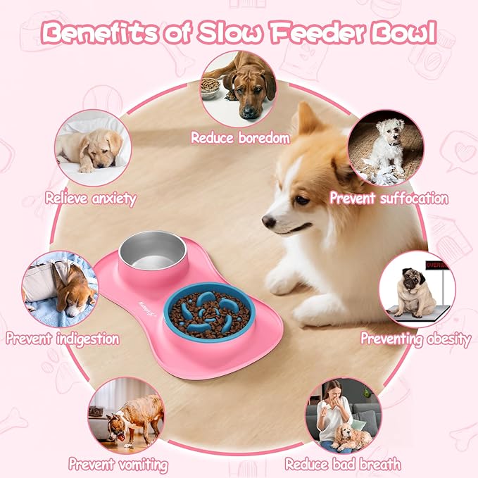 MateeyLife Dog Food Bowl Set 3 in 1, Dog Bowls & Water Stainless Steel Bowl with Non-Spill Silicone Mat, Slow Feeder Bowls for Small, Medium, Large Breeds, Cat Feeding Dish to Anti-Choking