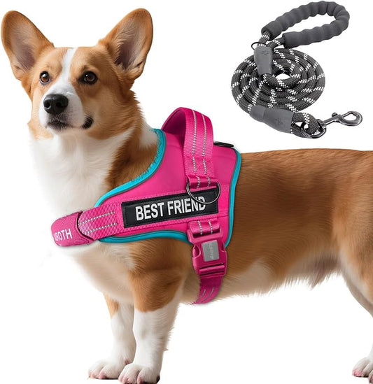 AUROTH Dog Harness and Leash Set, Soft Padded No Pull Dog Harness with 5.25FT Dog Leash, No Choke, Easy On Pet Vest, Adjustable Reflective Dog Vest Small Sized Dog, Easy Walking and Training