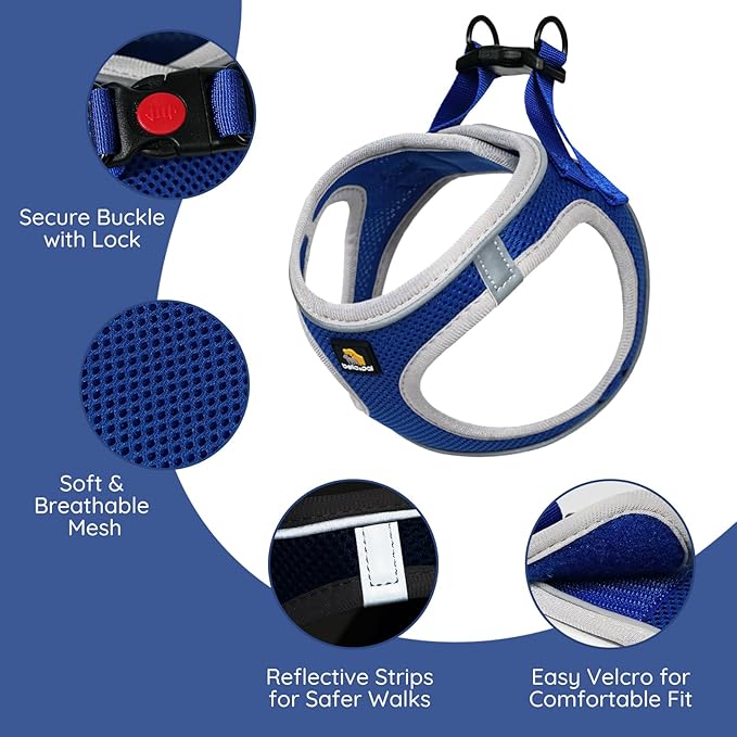 BELLA & PAL Step in Vest Harness for Small and Medium Dogs, No Pull Small Dog Harness with Leash Set, Comfortable Air Mesh Dog Vest Harness with Reflective Strip (Sapphire(Round Rope), M)