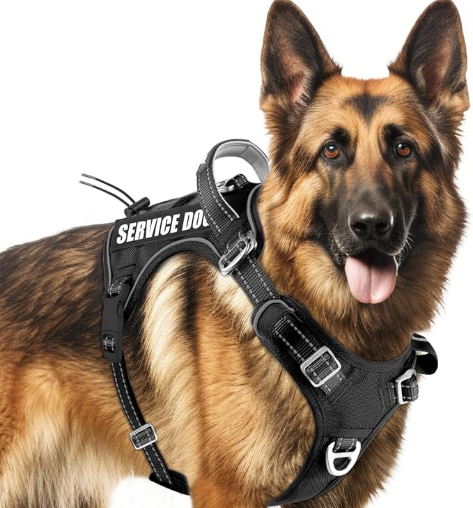 BARKBAY Service Dog Vest Tactical Dog Harness Medium Large Sized Dog Tags Personalized No Pull Adjustable Harness Reflective K9 Working Training Easy Control Military Molle System(Black,XL)
