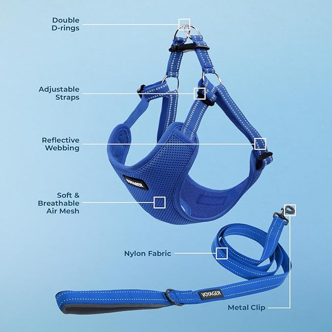 Best Pet Supplies Voyager Mesh Dog Breathable Harness Reflective Stitching, All Weather Adjustable for Walking Training, or Running - Heavy Duty & Durable, Harness Leash Set (Royal Blue), XL