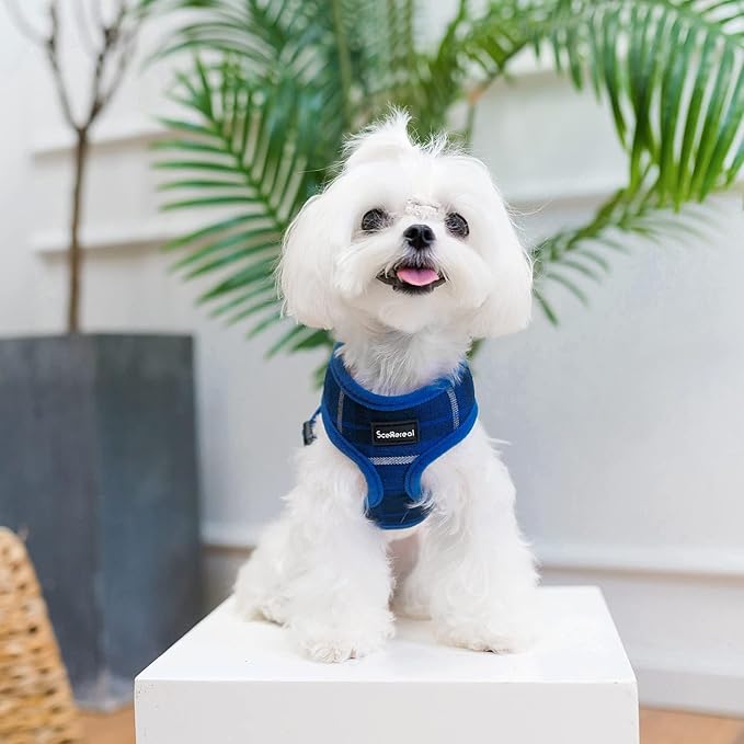 SCENEREAL Puppy Dog Harness with Leash Set for Small Medium Sized Dogs, Soft Mesh Step in Pet Harnesses and Leash, No Chock Plaid Adjustable No Pull Vest for Dogs Cats, Chihuahua,Bulldog (Blue S)