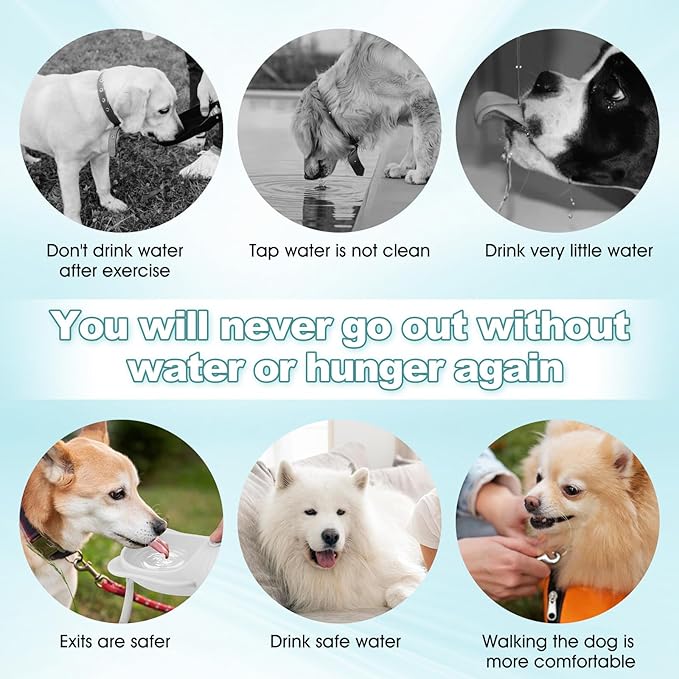 Portable Dogs Water Bottle with Food Storage Container, Leakproof Drinking Water Dispenser Feeder for Outdoor Dog Stuff Accessories Items for Cats, Puppy,for Walking, Hiking (White, 350ml)