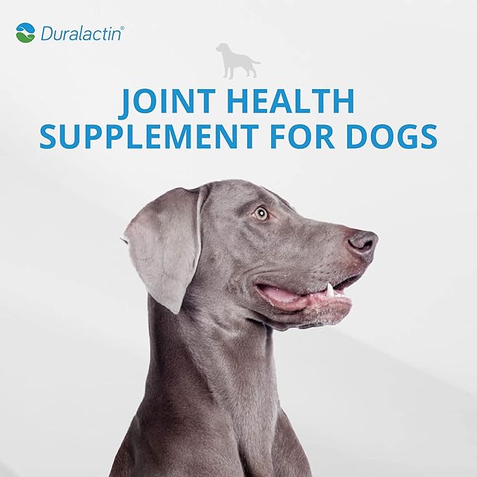 PRN Pharmacal Duralactin Canine Soft Chews - Joint Health Supplement for Dogs & Puppies to Help Reduce Chronic Soreness - Canine Chews Containing Dried Milk Protein - Chicken-Liver Flavor - 60 Chews