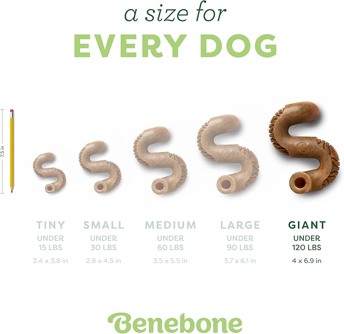 Benebone Tripe Bone Durable Dog Chew Toy for Aggressive Chewers, Real Tripe, Made in USA, Giant