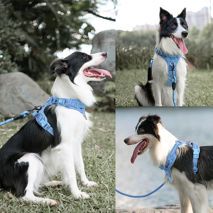PoyPet No Pull Dog Harness and 5 Feet Leash Set, Release on Neck Reflective Adjustable Pet Vest, Front & Back 2 D-Ring and Soft Padded Pet Harness with Handle for Small to Large Dogs(Light Blue,S)