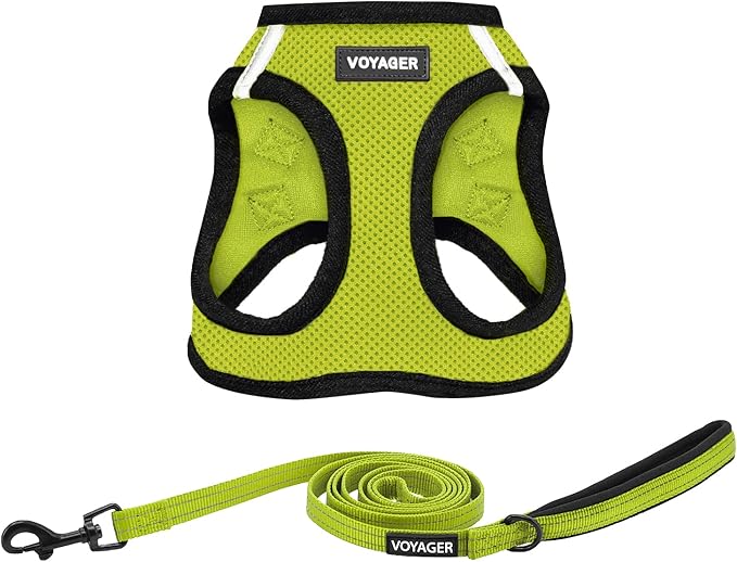 Voyager Step-in Air All Weather Mesh Harness and Reflective Dog 5 ft Leash Combo with Neoprene Handle, for Small, Medium and Large Breed Puppies by Best Pet Supplies - Lime/Black Trim, Large