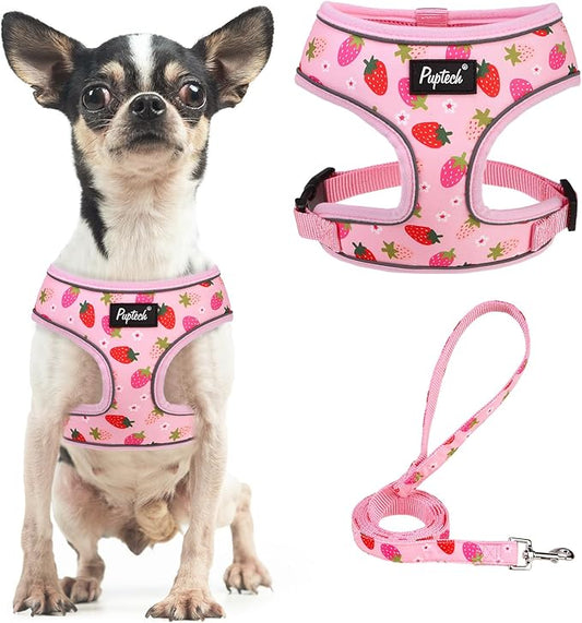 PUPTECK Soft Mesh Dog Harness and Leash Set Pet Puppy Cat Comfort Padded Vest No Pull Harnesses, Strawberry Pink, S
