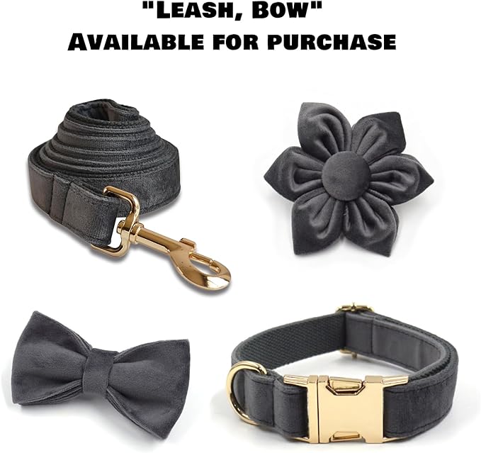 Velvet Personalized Dog Collar with Name - Customizable Dog Collar with Quick Release Metal Buckle - Leash and Bow Tie Available (Charcoal, XL)